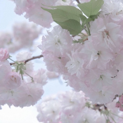 阳谷FurryQQ群介绍